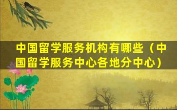 中国留学服务机构有哪些（中国留学服务中心各地分中心）