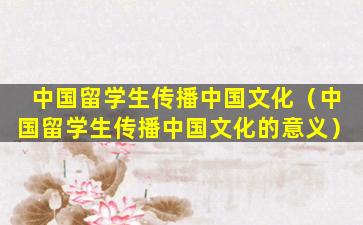 中国留学生传播中国文化（中国留学生传播中国文化的意义）