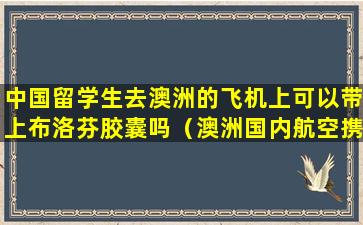 中国留学生去澳洲的飞机上可以带上布洛芬胶囊吗（澳洲国内航空携带行李规定）