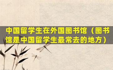 中国留学生在外国图书馆（图书馆是中国留学生最常去的地方）