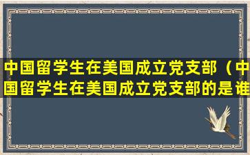中国留学生在美国成立党支部（中国留学生在美国成立党支部的是谁）