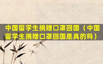 中国留学生捐赠口罩回国（中国留学生捐赠口罩回国是真的吗）