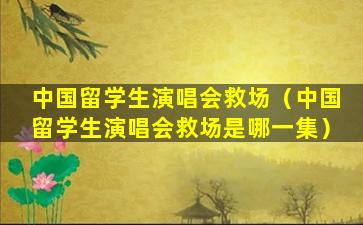 中国留学生演唱会救场（中国留学生演唱会救场是哪一集）