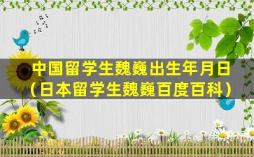 中国留学生魏巍出生年月日（日本留学生魏巍百度百科）