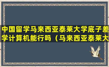 中国留学马来西亚泰莱大学底子差学计算机能行吗（马来西亚泰莱大学国内承认学历吗）