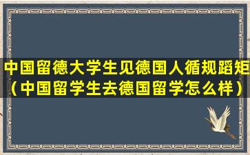 中国留德大学生见德国人循规蹈矩（中国留学生去德国留学怎么样）