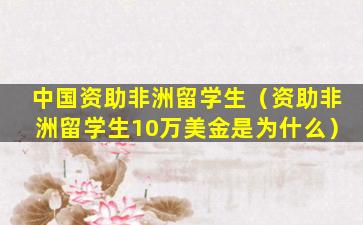 中国资助非洲留学生（资助非洲留学生10万美金是为什么）