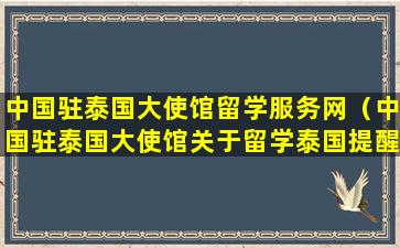 中国驻泰国大使馆留学服务网（中国驻泰国大使馆关于留学泰国提醒）