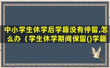 中小学生休学后学籍没有停留,怎么办（学生休学期间保留()学籍但不享受在校学生待遇）