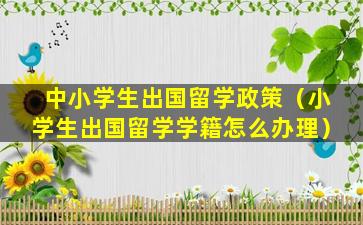 中小学生出国留学政策（小学生出国留学学籍怎么办理）