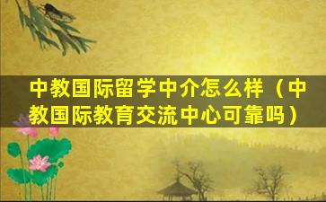 中教国际留学中介怎么样（中教国际教育交流中心可靠吗）