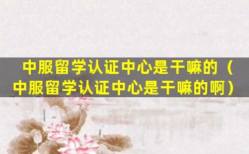 中服留学认证中心是干嘛的（中服留学认证中心是干嘛的啊）