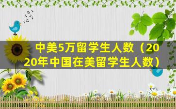 中美5万留学生人数（2020年中国在美留学生人数）