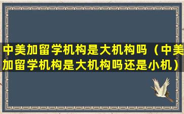 中美加留学机构是大机构吗（中美加留学机构是大机构吗还是小机）