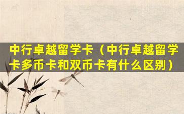 中行卓越留学卡（中行卓越留学卡多币卡和双币卡有什么区别）