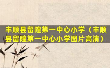 丰顺县留隍第一中心小学（丰顺县留隍第一中心小学图片高清）