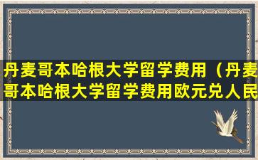 丹麦哥本哈根大学留学费用（丹麦哥本哈根大学留学费用欧元兑人民币）