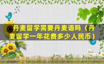 丹麦留学需要丹麦语吗（丹麦留学一年花费多少人民币）