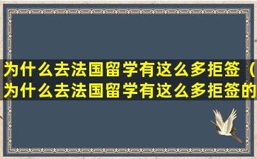 为什么去法国留学有这么多拒签（为什么去法国留学有这么多拒签的原因）