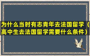 为什么当时有志青年去法国留学（高中生去法国留学需要什么条件）