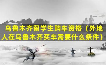 乌鲁木齐留学生购车资格（外地人在乌鲁木齐买车需要什么条件）
