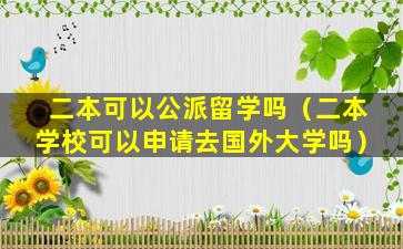 二本可以公派留学吗（二本学校可以申请去国外大学吗）