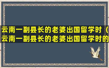云南一副县长的老婆出国留学时（云南一副县长的老婆出国留学时的视频）