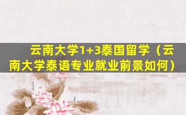 云南大学1+3泰国留学（云南大学泰语专业就业前景如何）