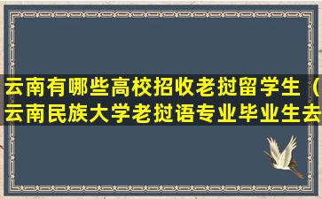 云南有哪些高校招收老挝留学生（云南民族大学老挝语专业毕业生去向）