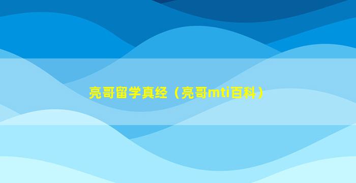 亮哥留学真经（亮哥mti百科）