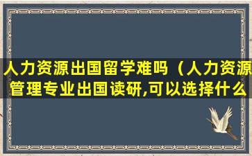 人力资源出国留学难吗（人力资源管理专业出国读研,可以选择什么方向）