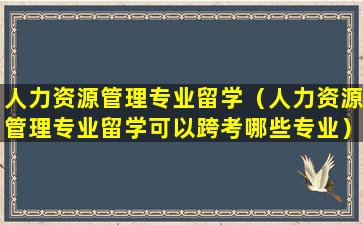 人力资源管理专业留学（人力资源管理专业留学可以跨考哪些专业）