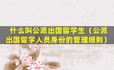 什么叫公派出国留学生（公派出国留学人员身份的管理细则）