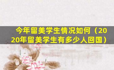 今年留美学生情况如何（2020年留美学生有多少人回国）