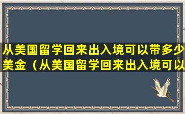 从美国留学回来出入境可以带多少美金（从美国留学回来出入境可以带多少美金进去）