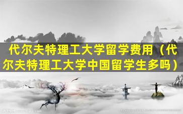 代尔夫特理工大学留学费用（代尔夫特理工大学中国留学生多吗）