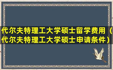 代尔夫特理工大学硕士留学费用（代尔夫特理工大学硕士申请条件）