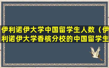 伊利诺伊大学中国留学生人数（伊利诺伊大学香槟分校的中国留学生很多吗）