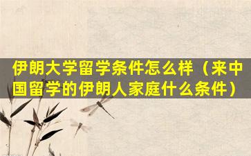 伊朗大学留学条件怎么样（来中国留学的伊朗人家庭什么条件）