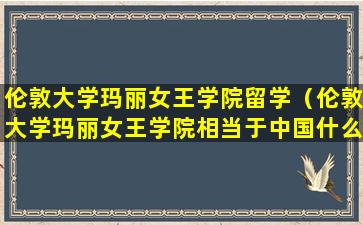 伦敦大学玛丽女王学院留学（伦敦大学玛丽女王学院相当于中国什么学历）