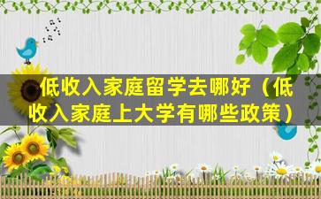 低收入家庭留学去哪好（低收入家庭上大学有哪些政策）