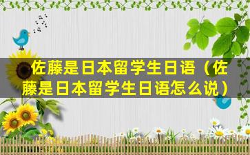 佐藤是日本留学生日语（佐藤是日本留学生日语怎么说）