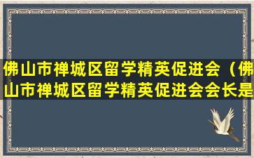 佛山市禅城区留学精英促进会（佛山市禅城区留学精英促进会会长是谁）