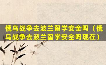 俄乌战争去波兰留学安全吗（俄乌战争去波兰留学安全吗现在）