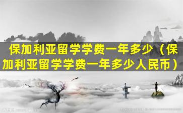 保加利亚留学学费一年多少（保加利亚留学学费一年多少人民币）