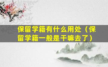 保留学籍有什么用处（保留学籍一般是干嘛去了）