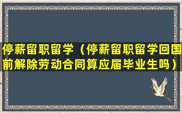 停薪留职留学（停薪留职留学回国前解除劳动合同算应届毕业生吗）