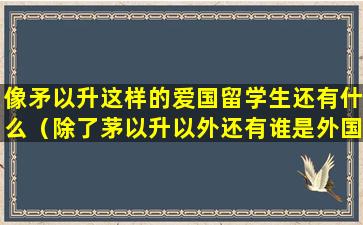 像矛以升这样的爱国留学生还有什么（除了茅以升以外还有谁是外国留学之后回来为祖国服务）