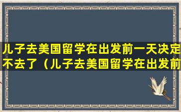 儿子去美国留学在出发前一天决定不去了（儿子去美国留学在出发前一天决定不去了怎么办）