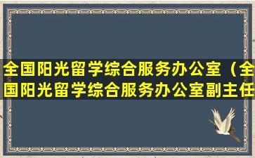 全国阳光留学综合服务办公室（全国阳光留学综合服务办公室副主任刘浩）